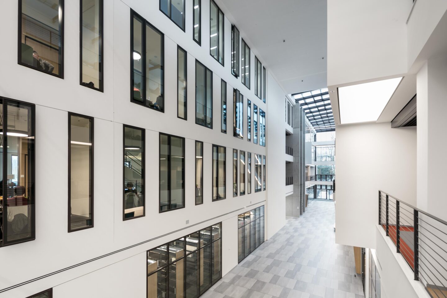 feco-feederle│partition walls│Frankfurt School of Finance & Management