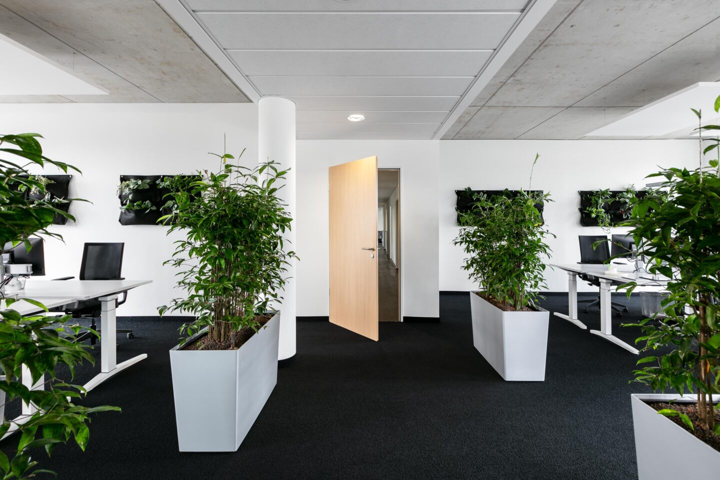 Inovex GmbH Karlsruhe │ IT company │ new working environments │ office equipment with feco