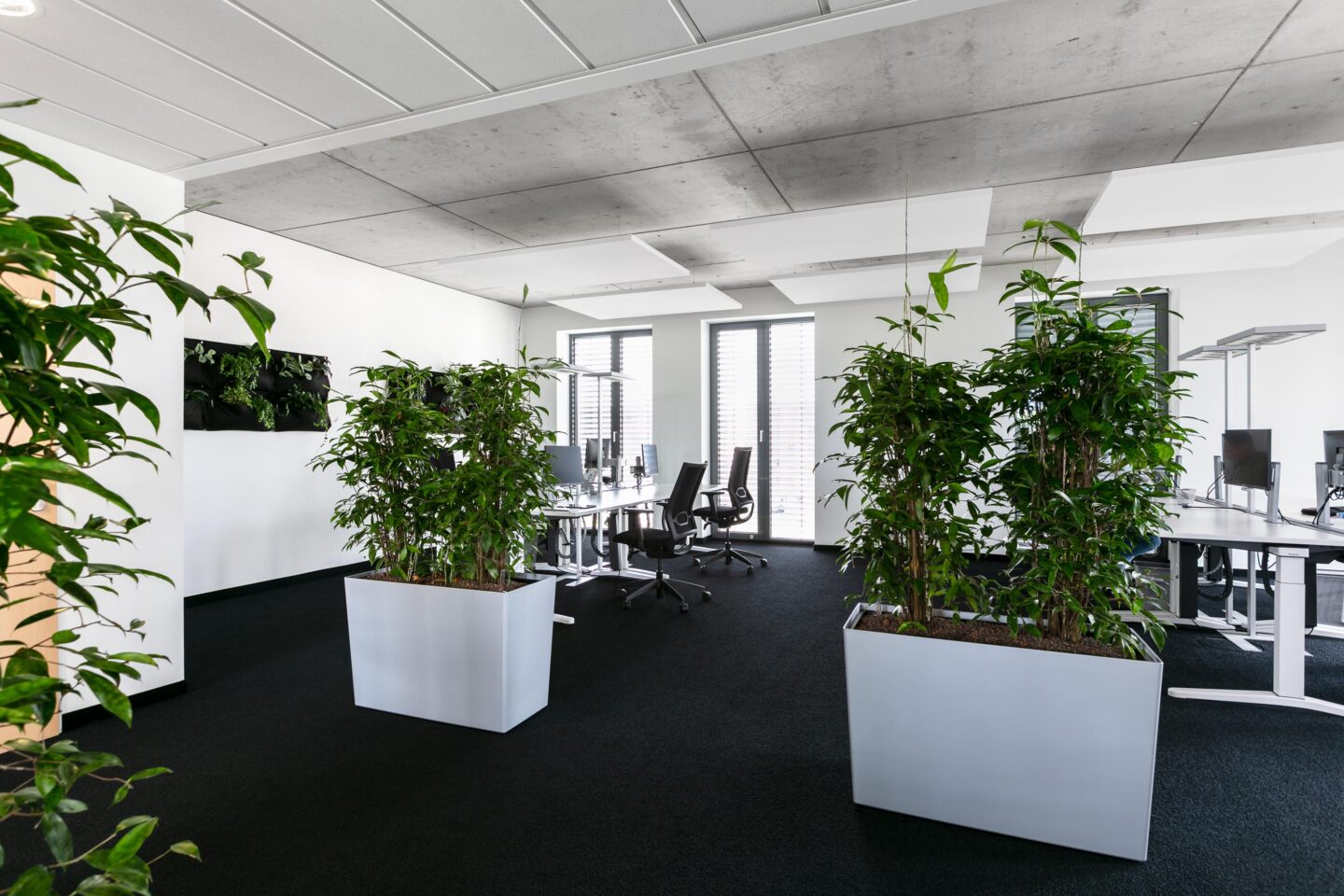 Inovex GmbH Karlsruhe │ IT company │ new working environments │ office equipment with feco