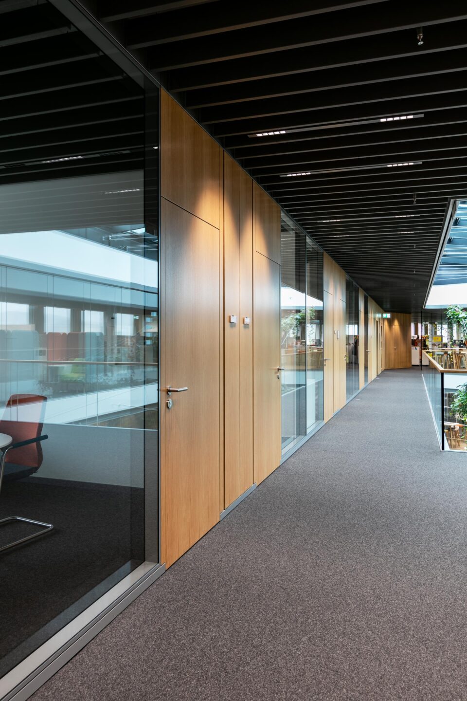 Testo AG │ system walls from feco │ fecotür wood