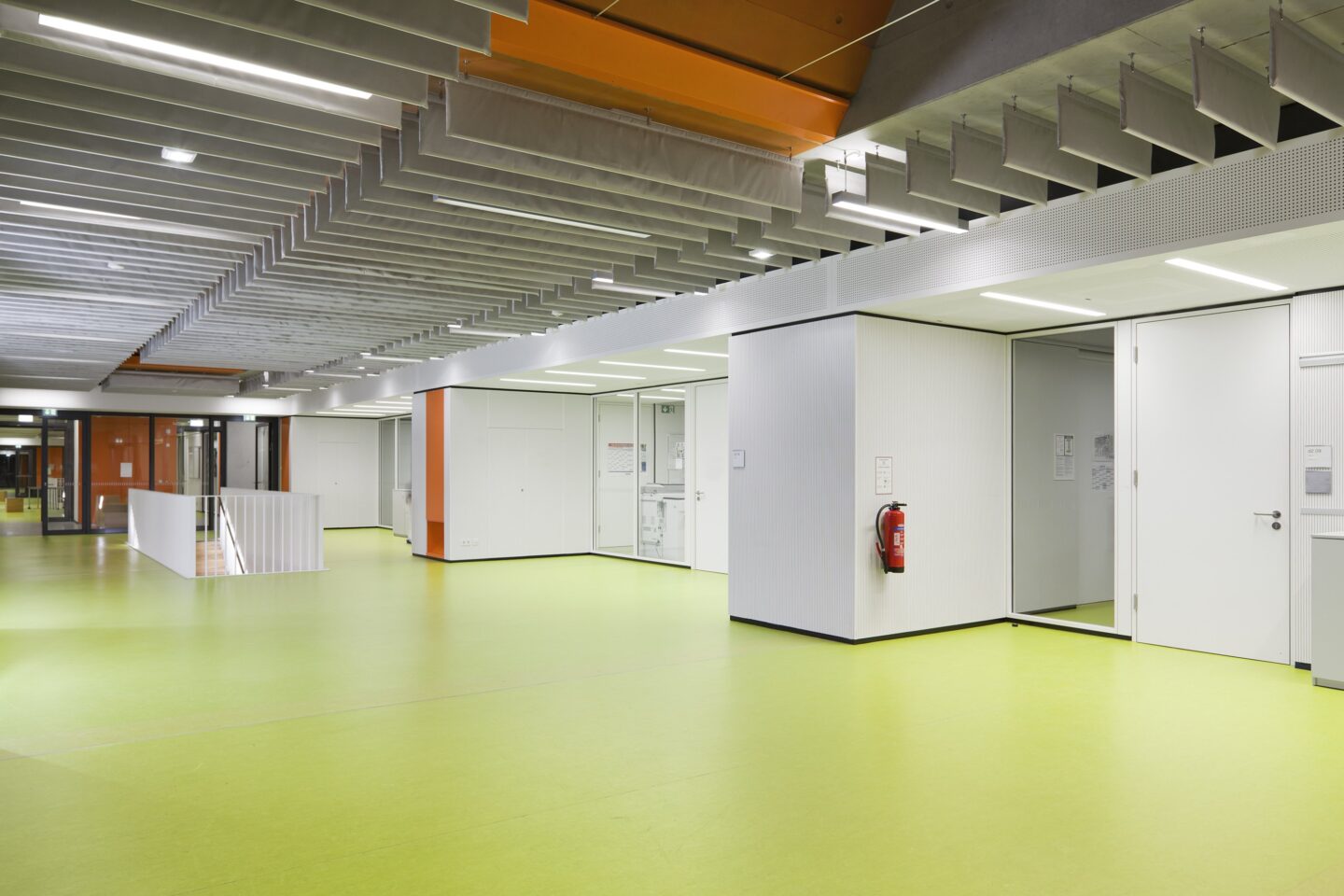 Gymnasium Trudering │ system walls from feco │ acoustics