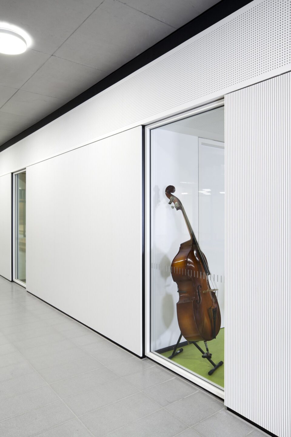 Gymnasium Trudering, Munich │ acoustics │ fecotür H70 wooden door