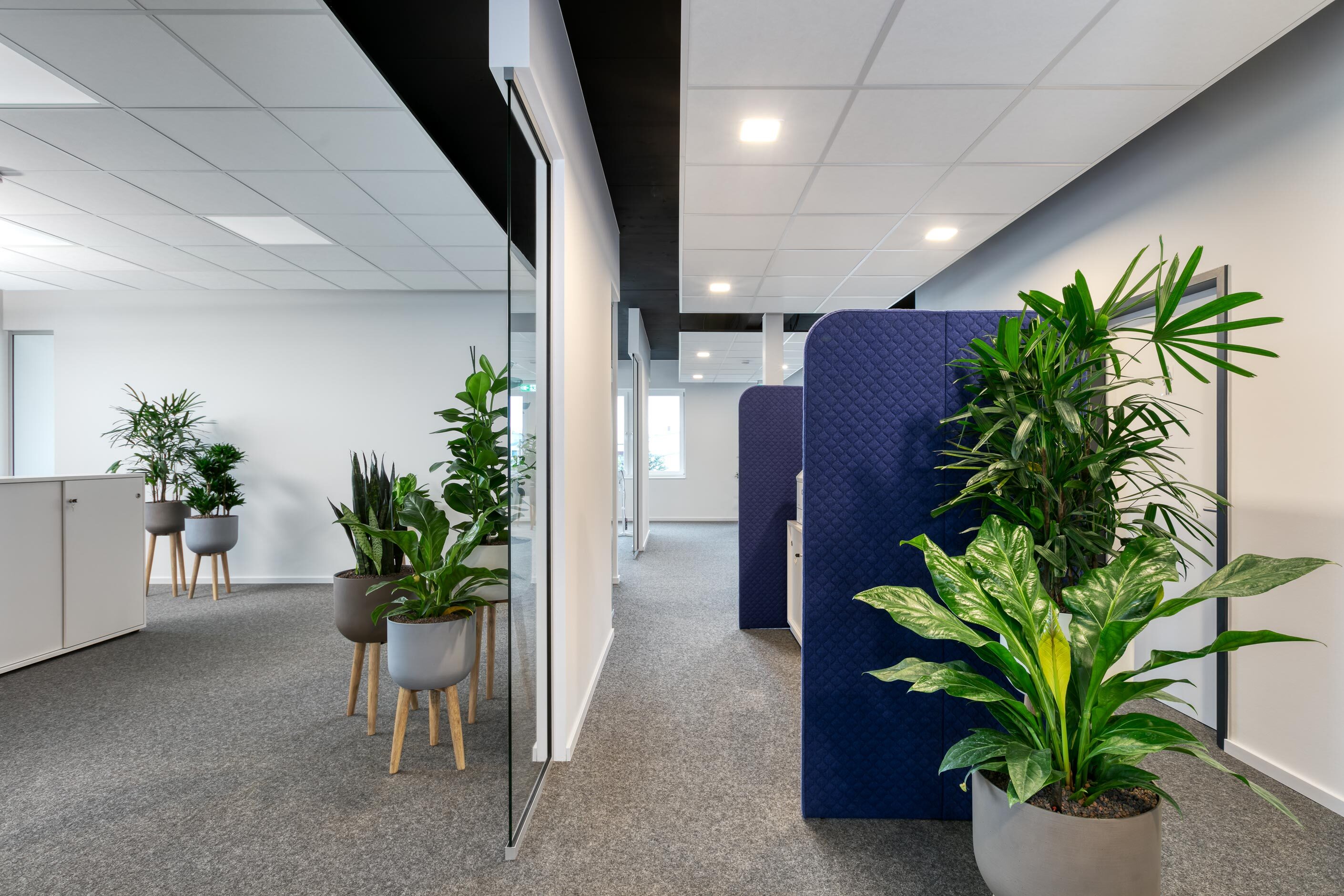 Nussbaum Medien Ettlingen │ office furnishings with feco │ modern workplaces