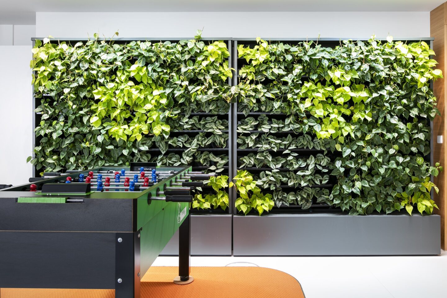 Vector Informatik │ central green plant wall │ feel-good atmosphere