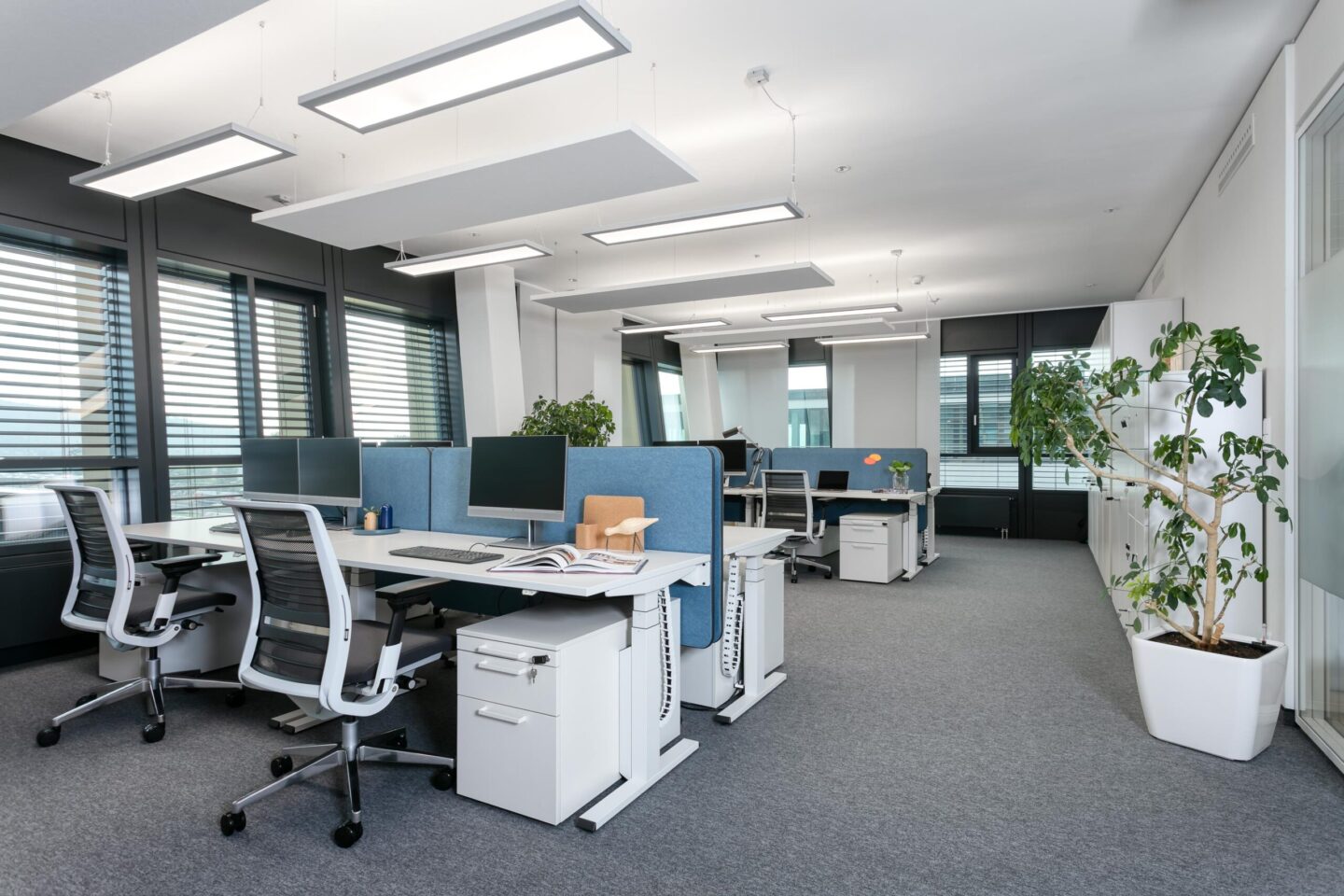 Alcon Freiburg im Breisgau │ Open Spaces Büro │ moderne Arbeitswelten │ elektrisch höhenverstellbare Schreibtsiche