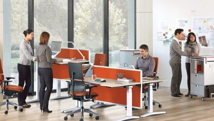 Steelcase Ology Steh-Sitz-Schreibtisch │ Unterstützt Biologie und Physiologie des Nutzers Bild