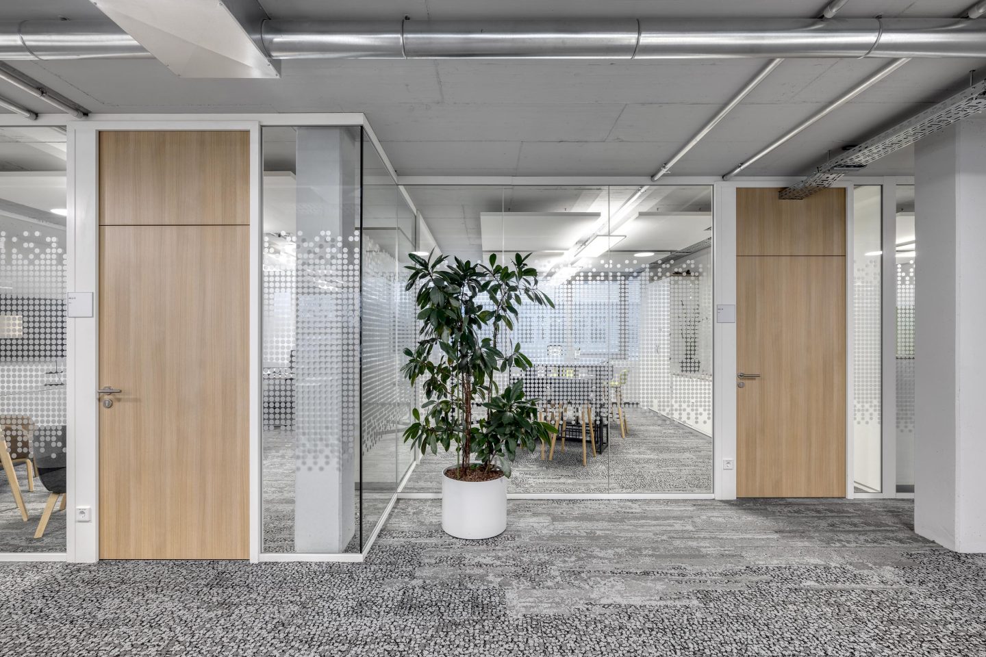 glass walls and wooden doors for Peras HR Management in Karlsruhe by feco