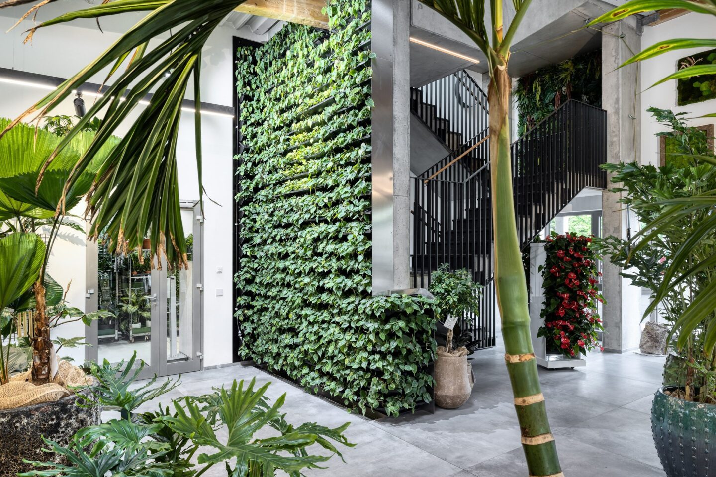 Andreas Müller Hydrokulturen specialises in transforming workspaces into places worth living in through commercial interior greening