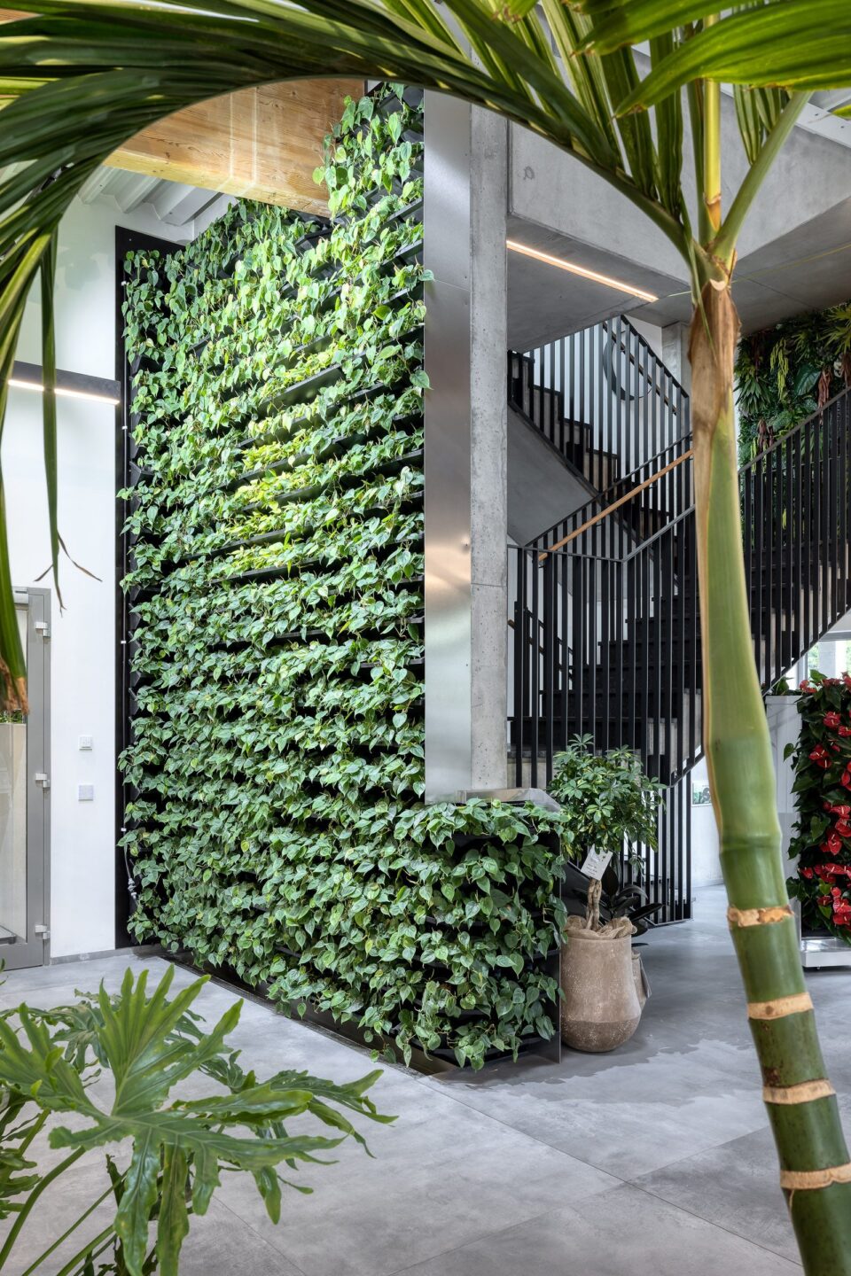 This is an impressive demonstration of how Green Work can improve the working atmosphere and positively influence the indoor climate. The Plant Hall is a bright and friendly space surrounded by photographs and green landscapes