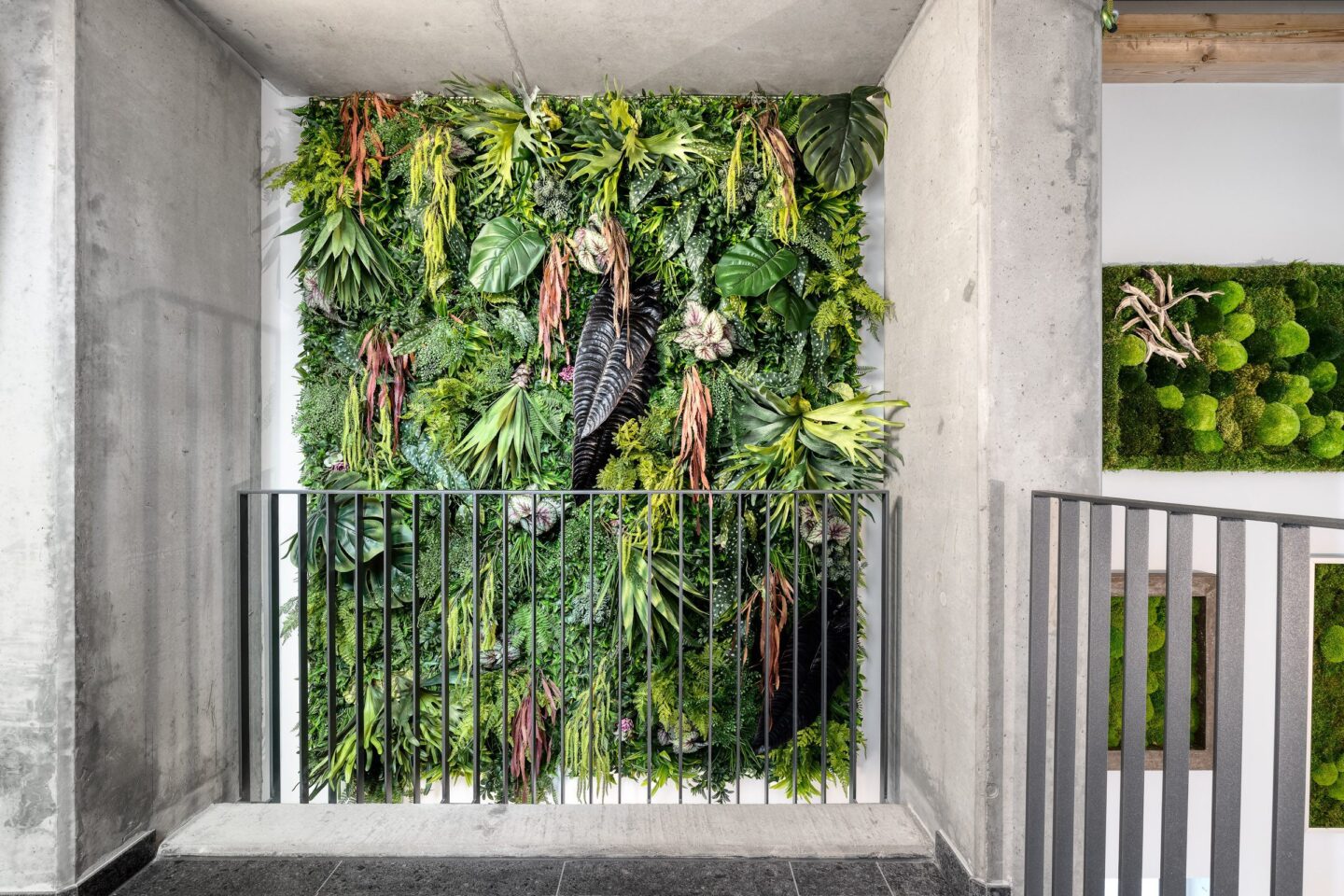 The BIOPHILICUM is not only a new company building, but also a showpiece for contemporary indoor greening. It shows how modern offices can become lively green oases where people enjoy working.