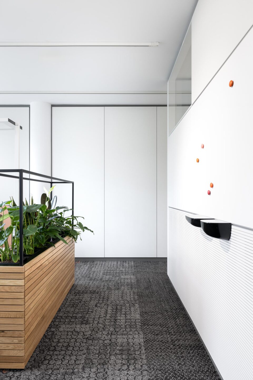 Partition walls by feco │ fecoorga