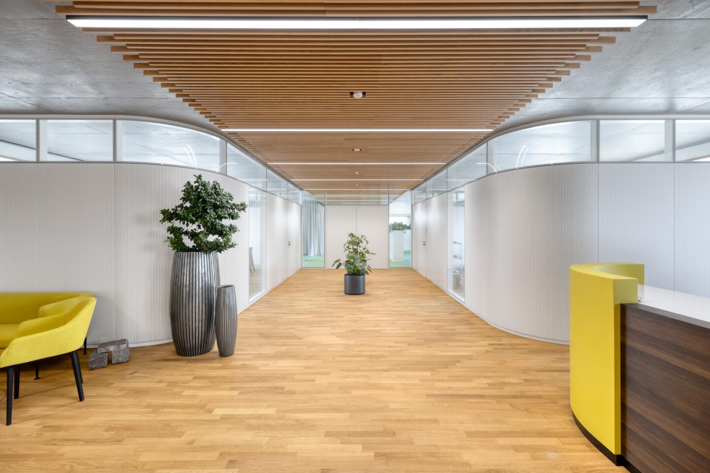 Sparkasse Markgräflerland | central view of office aisle with feco walls