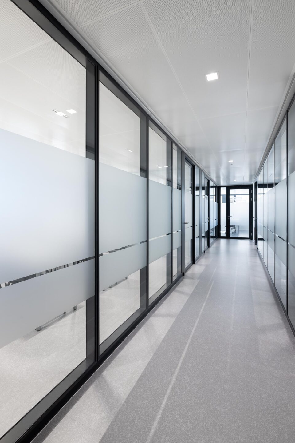 Rheinhalde Development | hallway with glass walls and black frames