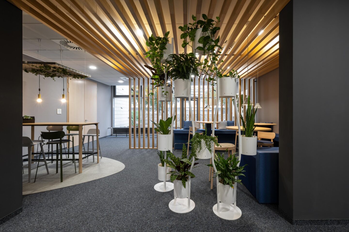 Workcafé FIZ Karlsruhe | plants as room partitioning