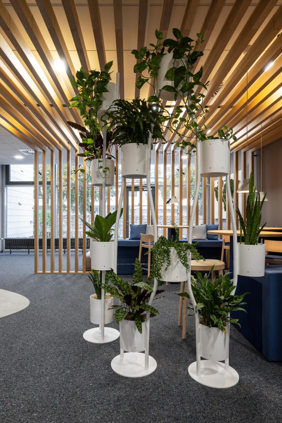 Workcafé FIZ Karlsruhe | Pflanzengestell als Raumtrenner