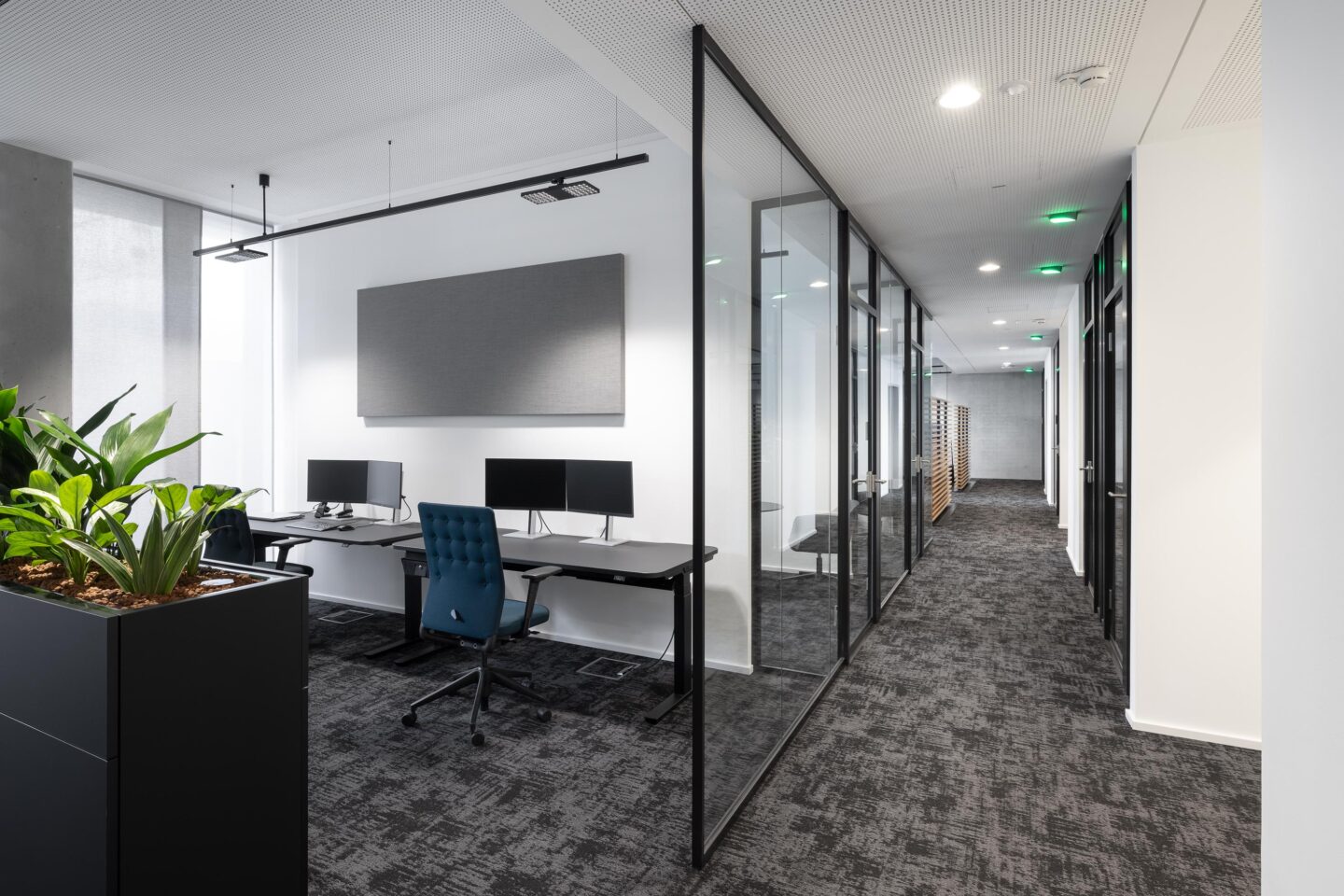SGP Campus Ulm | workstations with partition walls out of glass