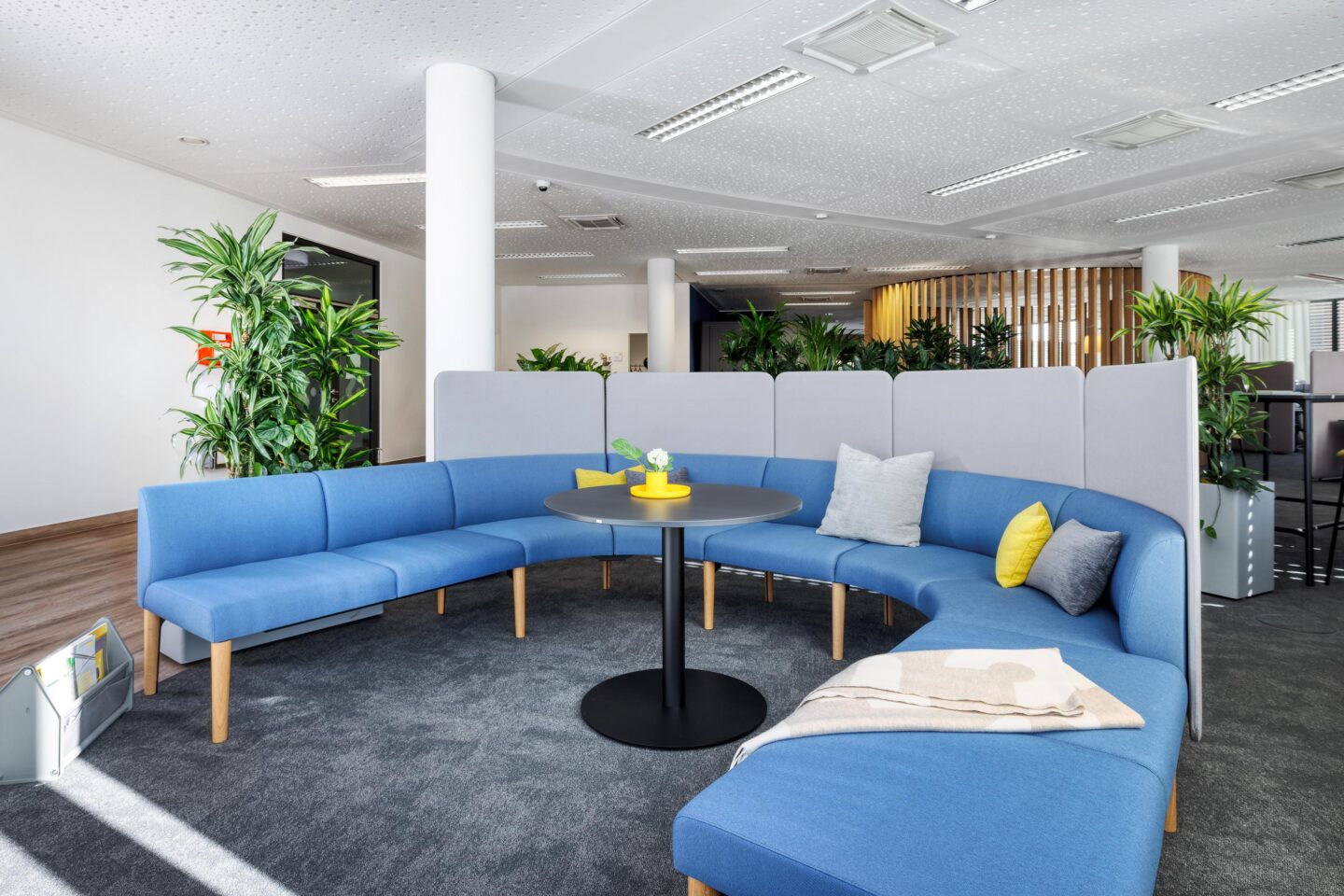 Harmonisches Farbkonzept im Innenraumdesign | Forterro Abas in Karlsruhe | feco-Büroeinrichtungen Karlsruhe