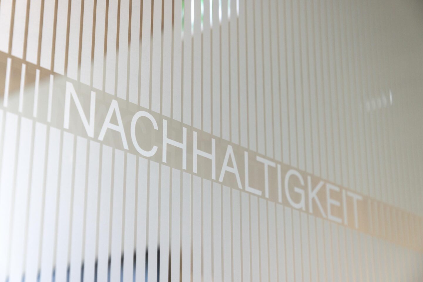 Grüner Beratungsraum mit natürlichen Materialien | Sparkasse Offenburg in Ettenheim | feco-Büroeinrichtungen Karlsruhe