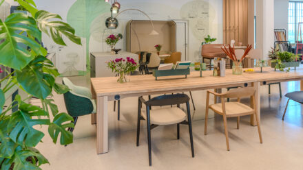 Großer Echtholz-Konferenztisch mit Monstera-Pflanzen im Vordergrund und Holz-Akustikwand im Showroom Bild