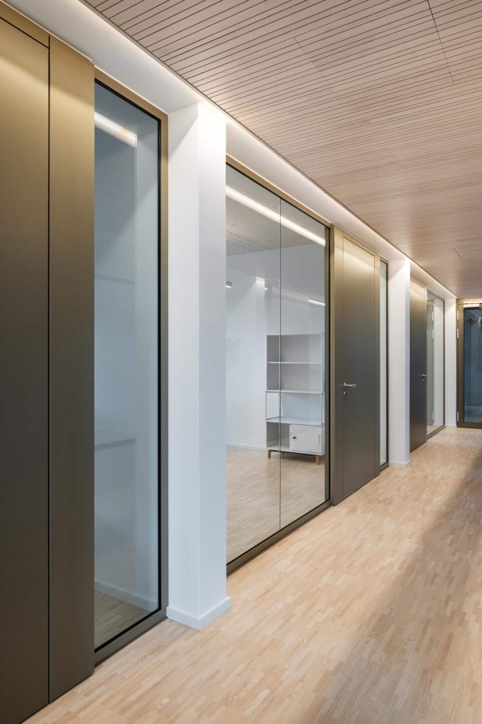 Flurperspektive mit fecoplan Glastrennwänden und RAL 1035 Perlbeige Holztüren im Holzhybridbau der Kanzlei Kopp.